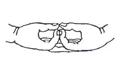 阿弥陀佛心咒手印图-阿弥陀佛心咒手印的分类有几种？